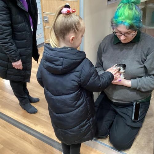 Year 1 trip to Pets at Home