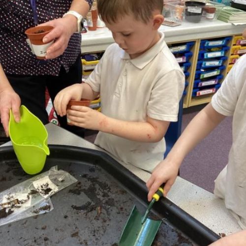 Planting beans, sunflowers, cress and pumpkins.